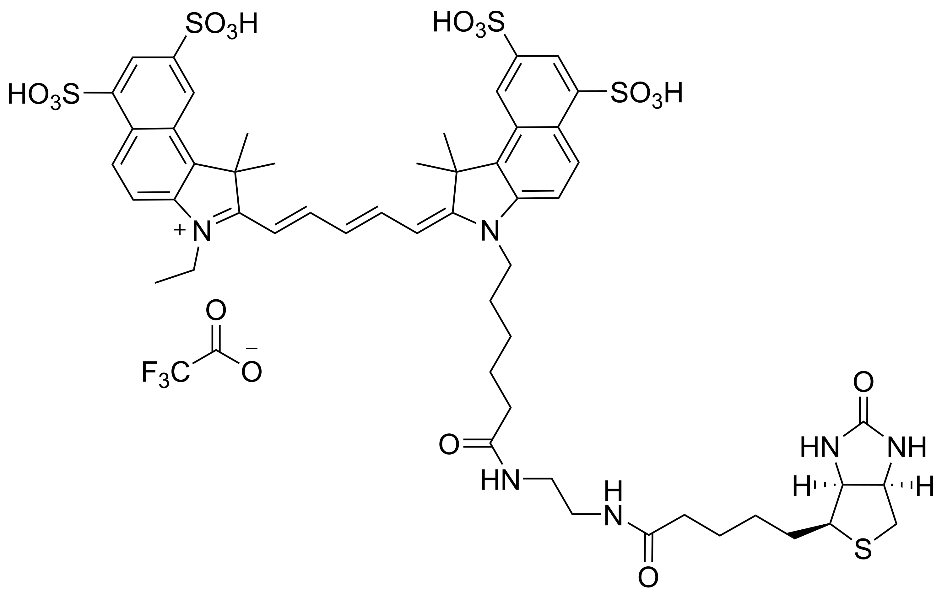Cy5.5 biotin conjugate - image 1