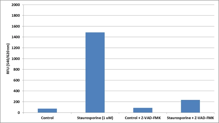 Z-VAD-FMK - image 2