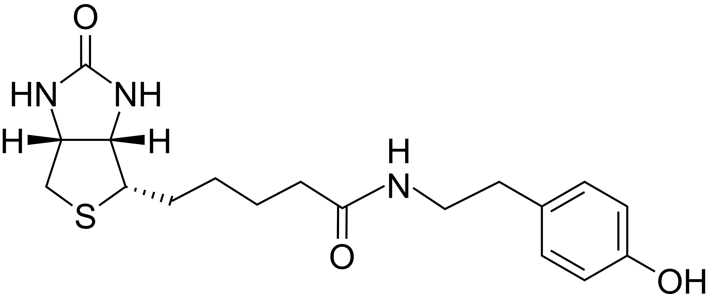 Biotinyl tyramide - image 1
