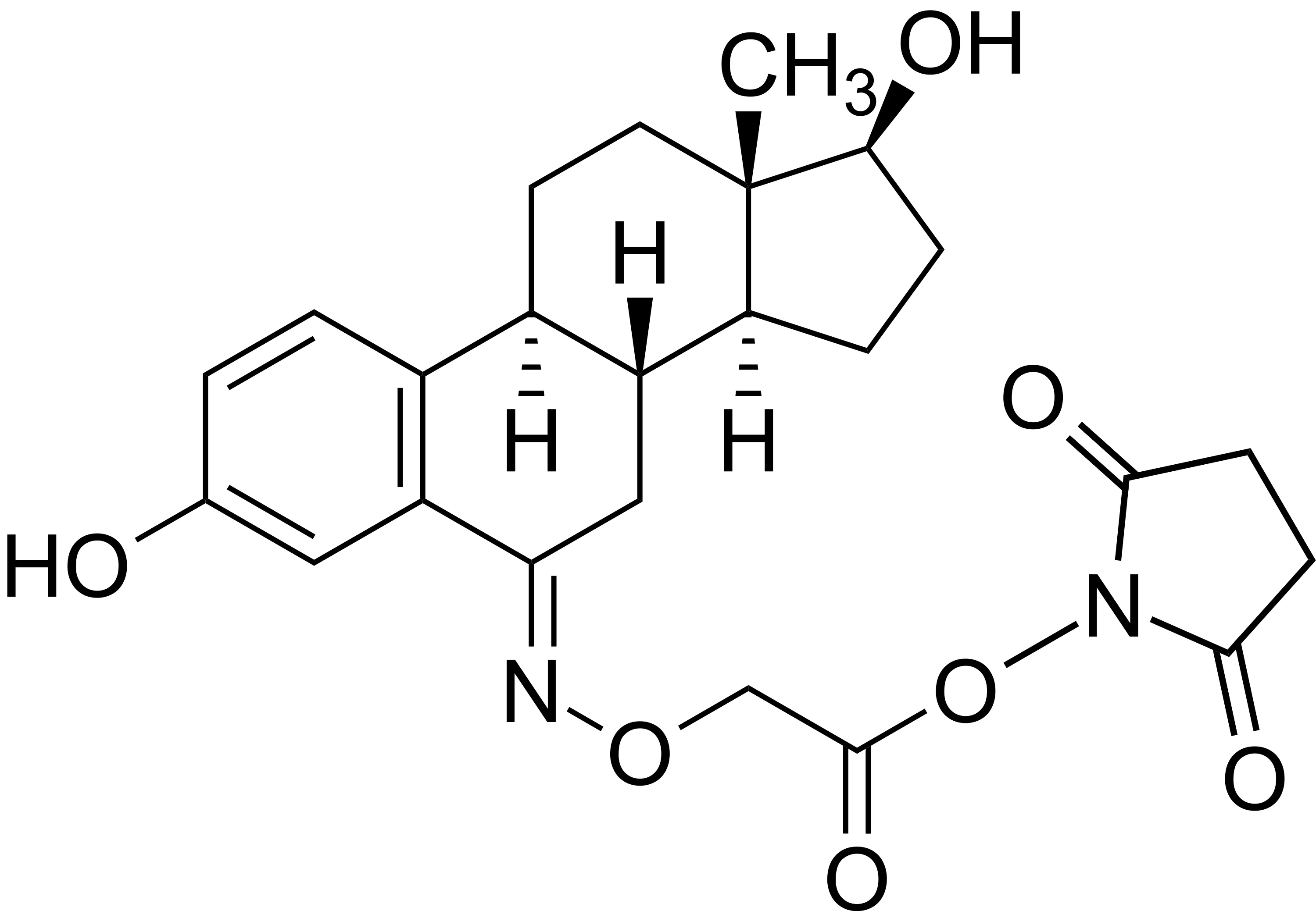 Estradiol succinimidyl ester - image 1