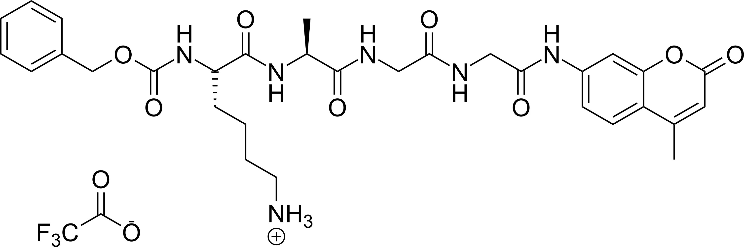 Z-KAGG-AMC - image 1