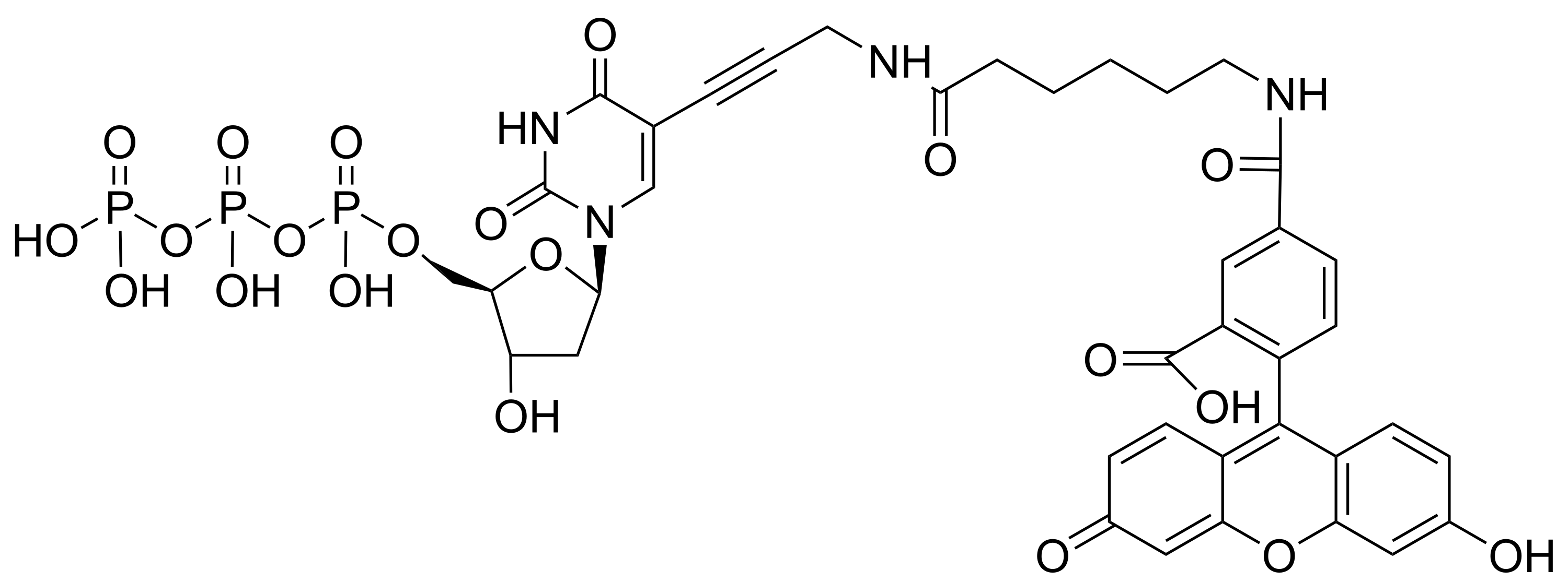 Fluorescein-12-dUTP (Perkin-Elmer) *1 mM in TE Buffer (pH 7.5)* - image 1