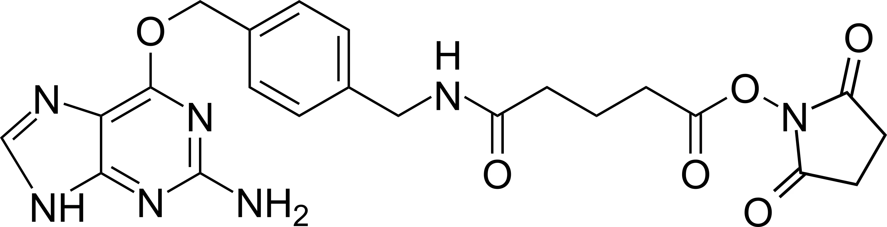 BG Succinimidyl Ester - image 1