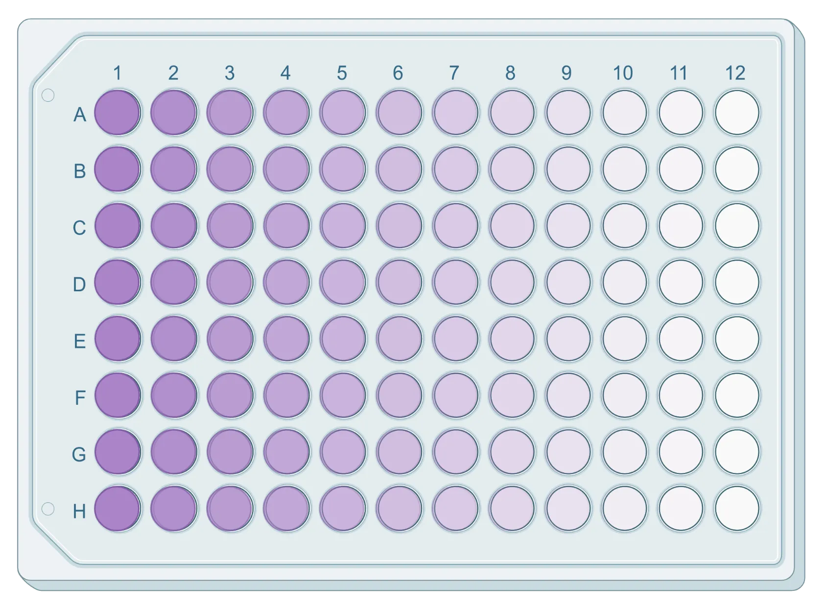 Cell Meter™ Colorimetric MTT Cell Proliferation Kit - image 3