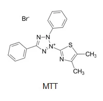 Cell Meter™ Colorimetric MTT Cell Proliferation Kit - image 1