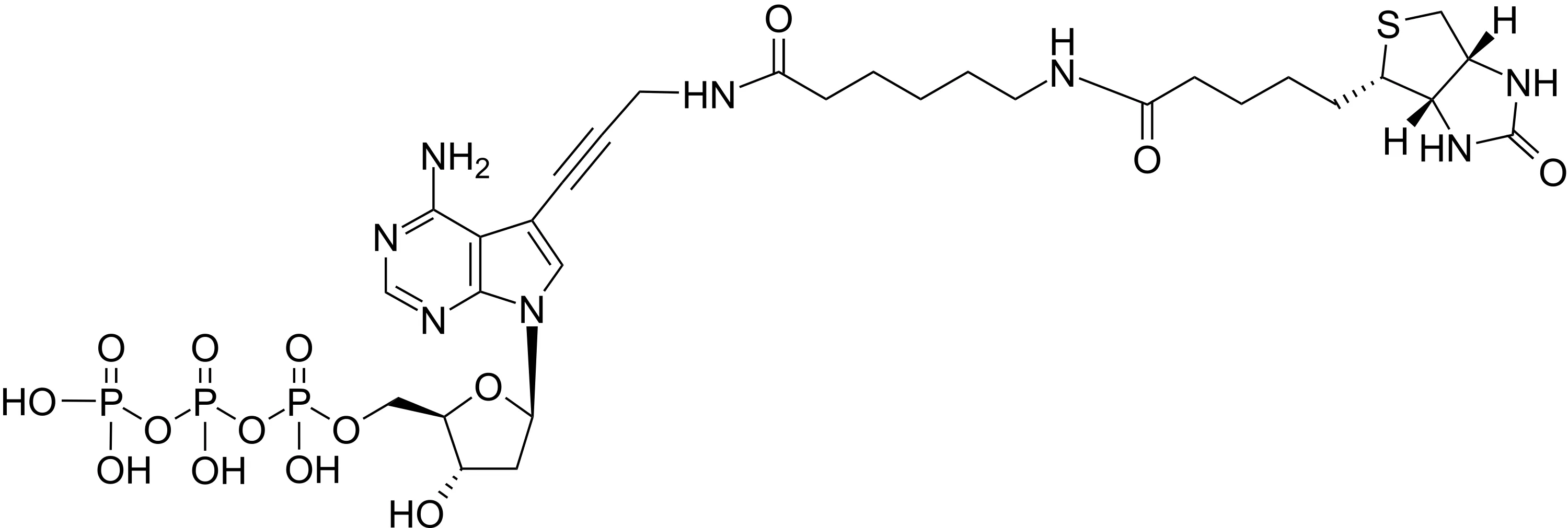 Biotin-11-dATP *1 mM in Tris Buffer (pH 7.5)* - image 1