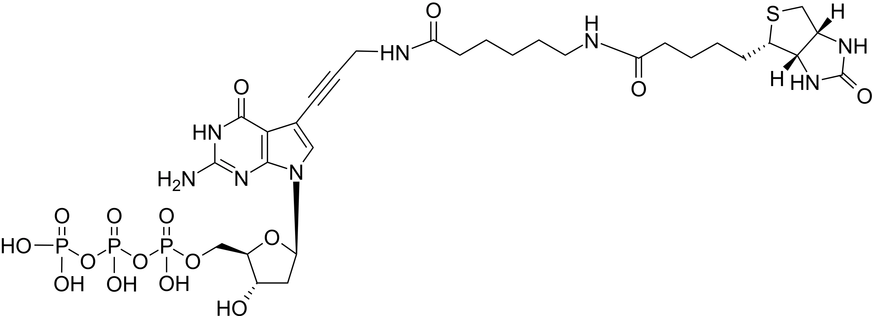 Biotin-11-dGTP *1 mM in Tris Buffer (pH 7.5)* - image 1