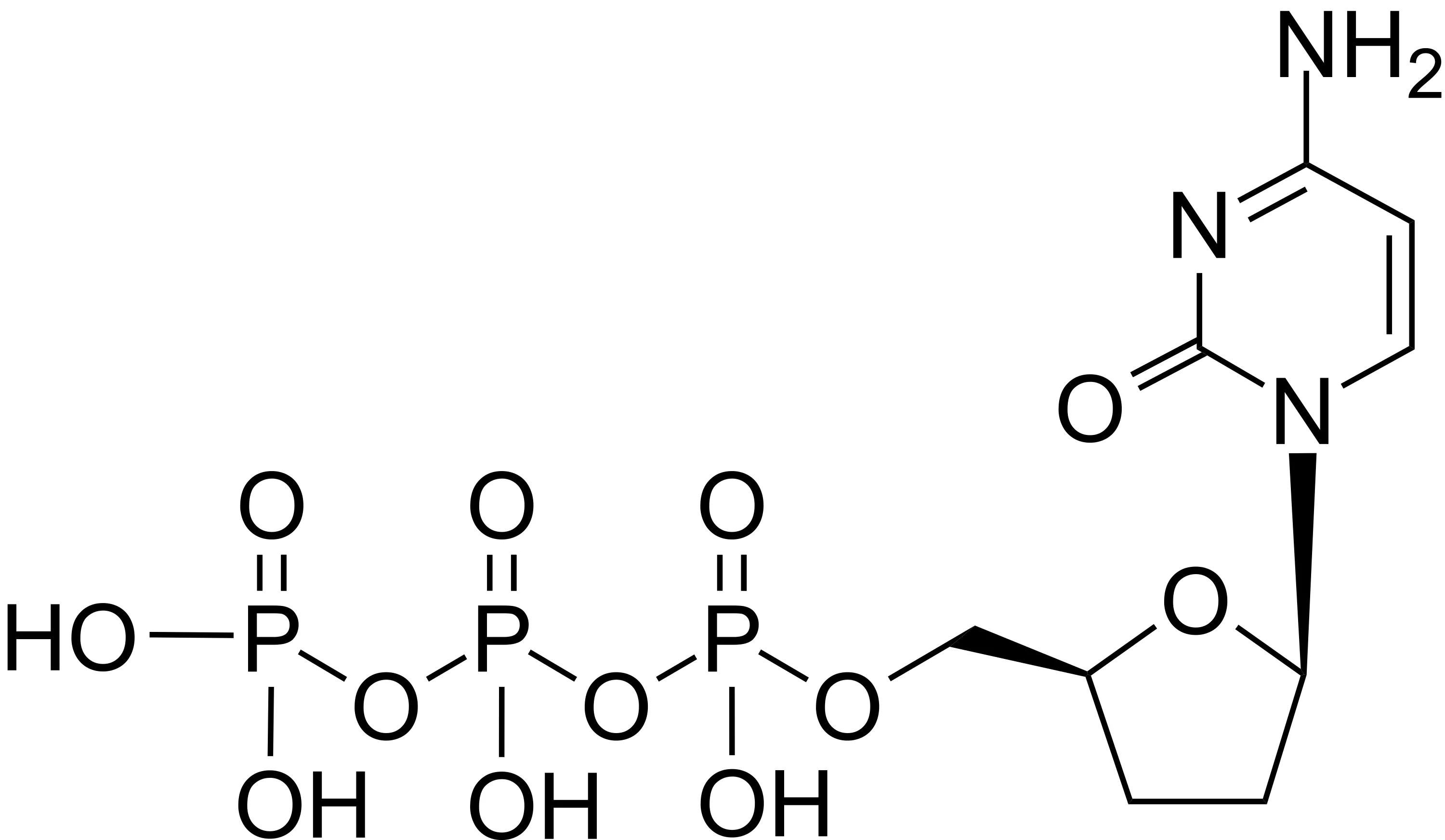 ddCTP [2',3'-Dideoxycytidine-5'-triphosphate] *10 mM in ddH2O* - image 1