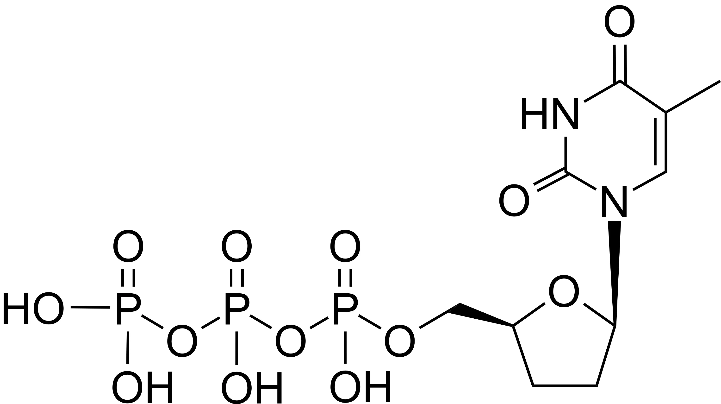 ddTTP [2',3'-Dideoxythymidine-5'-triphosphate] *10 mM in ddH2O* - image 1