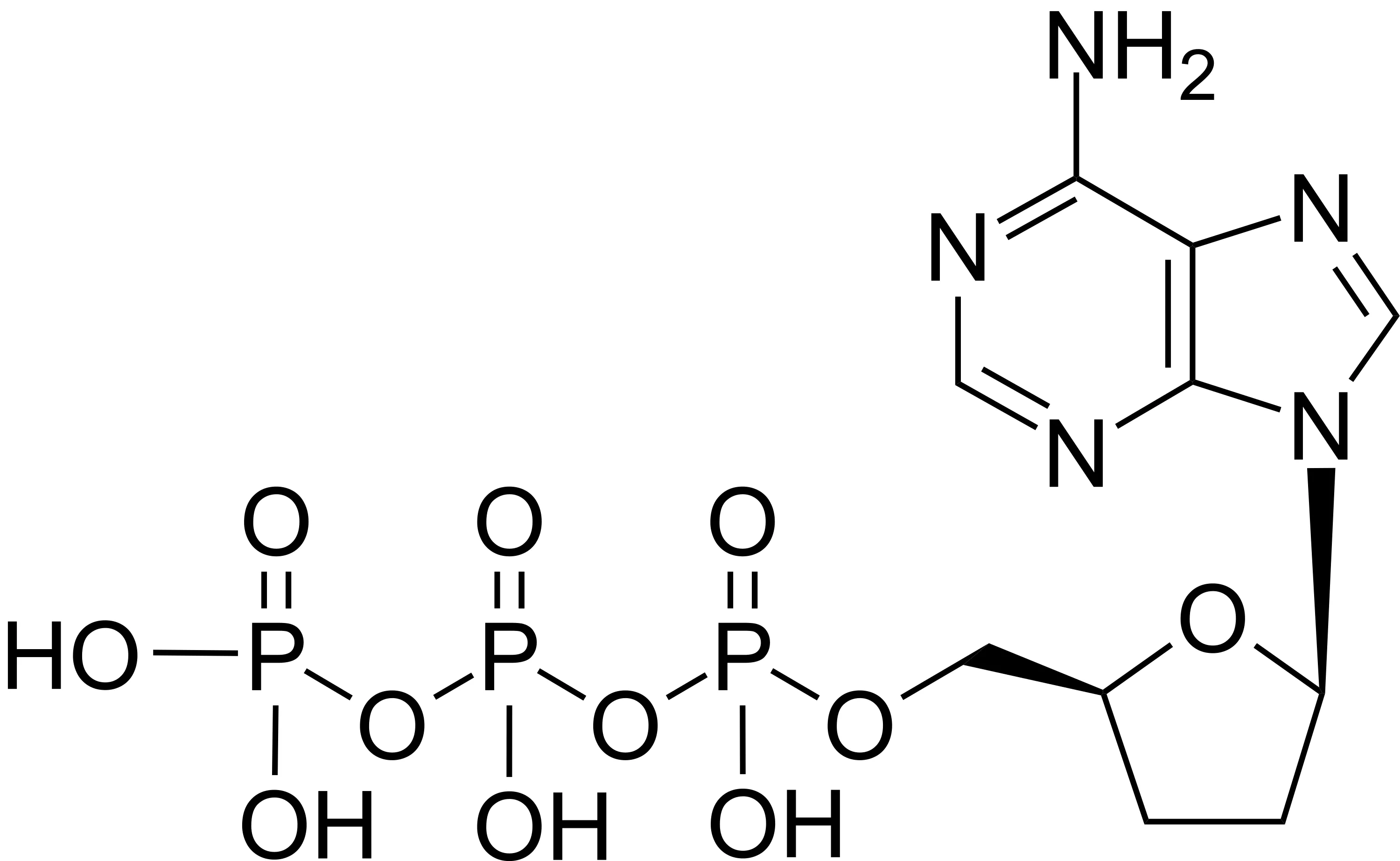 ddATP [2',3'-Dideoxyadenosine-5'-triphosphate] *10 mM in ddH2O* - image 1