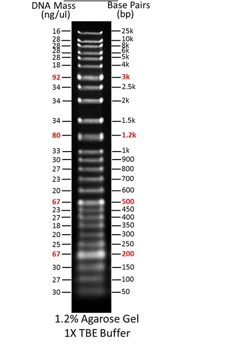 ReadiUse™ 1 Kb Plus DNA Ladder - image 1