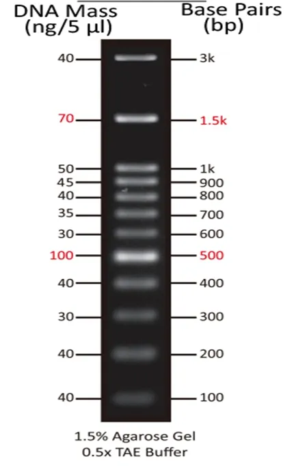 ReadiUse™ 100 bp DNA Ladder - image 1
