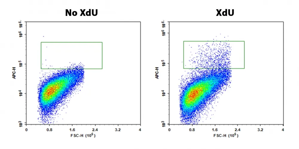 Bucculite™ Flow Cytometric XdU Cell Proliferation Assay Kit *Red Laser-Comptatible* - image 1