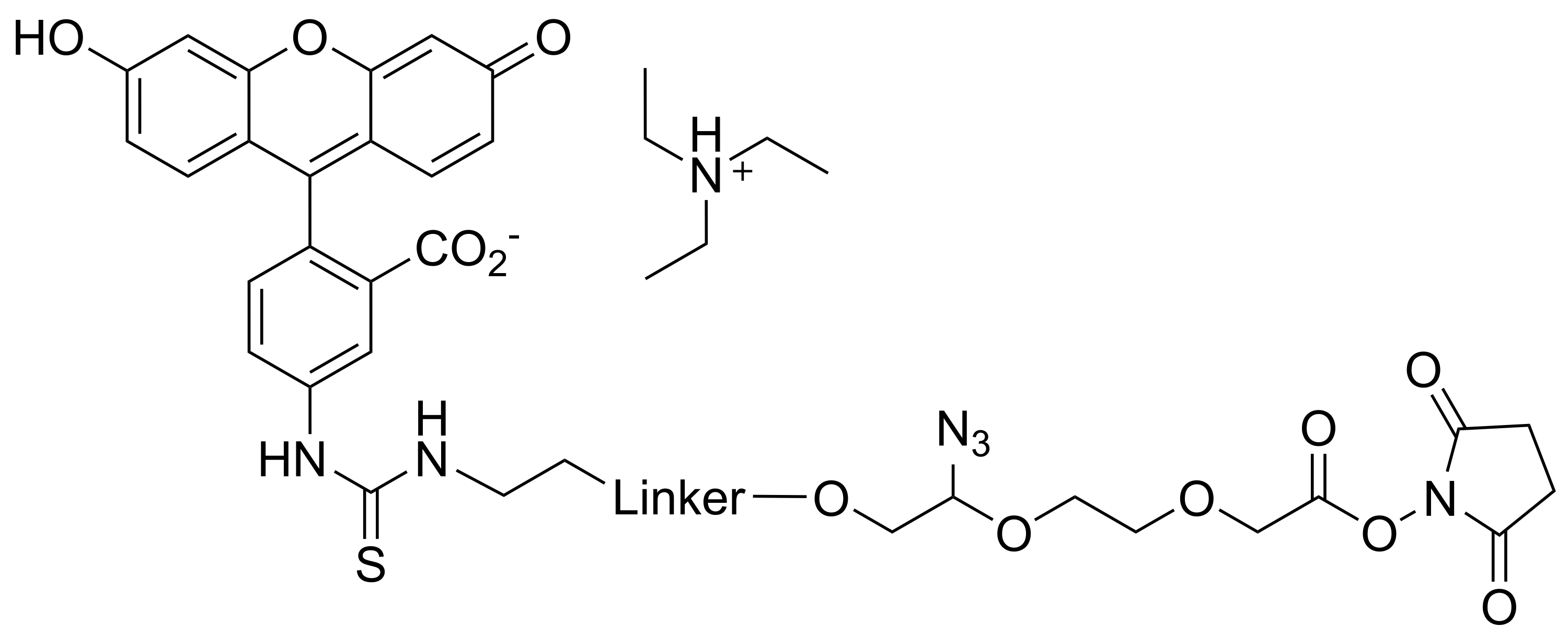 ReadiCleave™ FITC AML-NHS ester - image 1