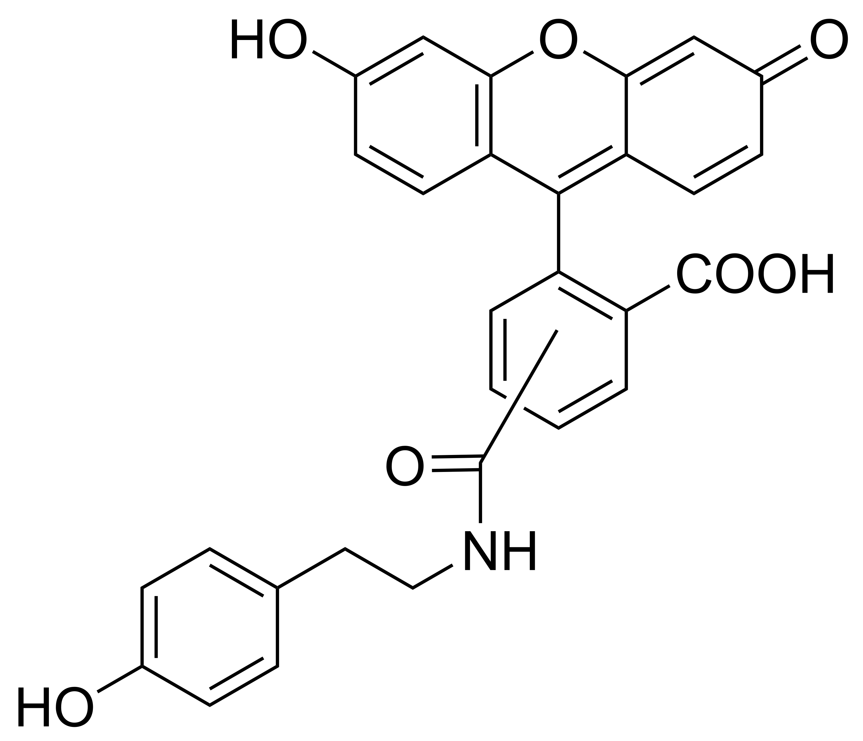 Fluorescein Tyramide - image 1