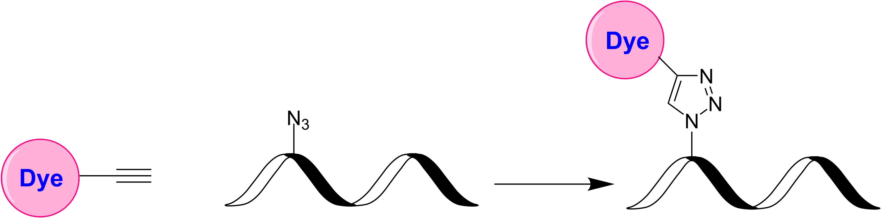 XFD647 Alkyne - image 1
