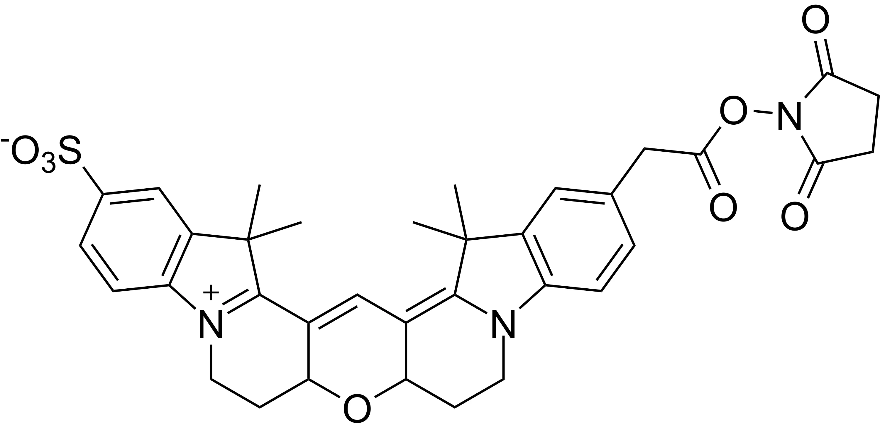 Cy3B NHS ester - image 1