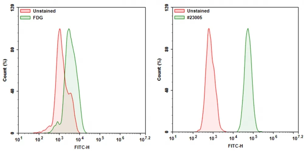 Cell Meter™ Cellular Senescence Activity Assay Kit *Green Fluorescence* - image 1