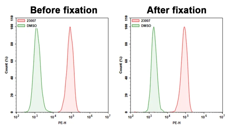 Cell Meter™ Cellular Senescence Activity Assay Kit *Red Fluorescence* - image 1