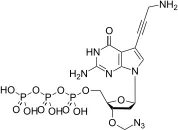7-Deaza-7-Propargylamino-3'-azidomethyl-dGTP - image 1