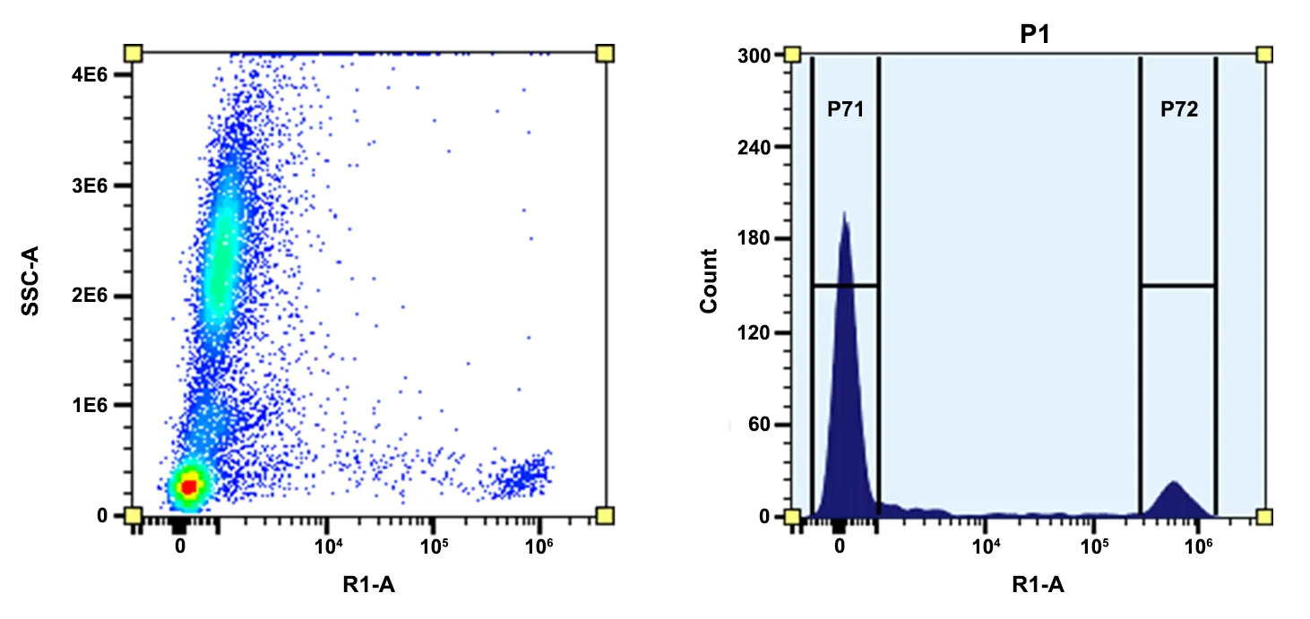 ReadiUse™ Preactivated APC Maleimide [Activated Allophycocyanin] - image 1