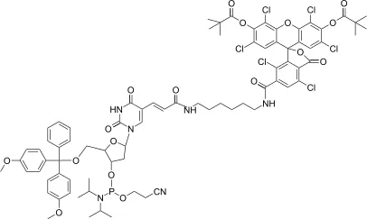 Fluorescein-dT Phosphoramidite - image 1