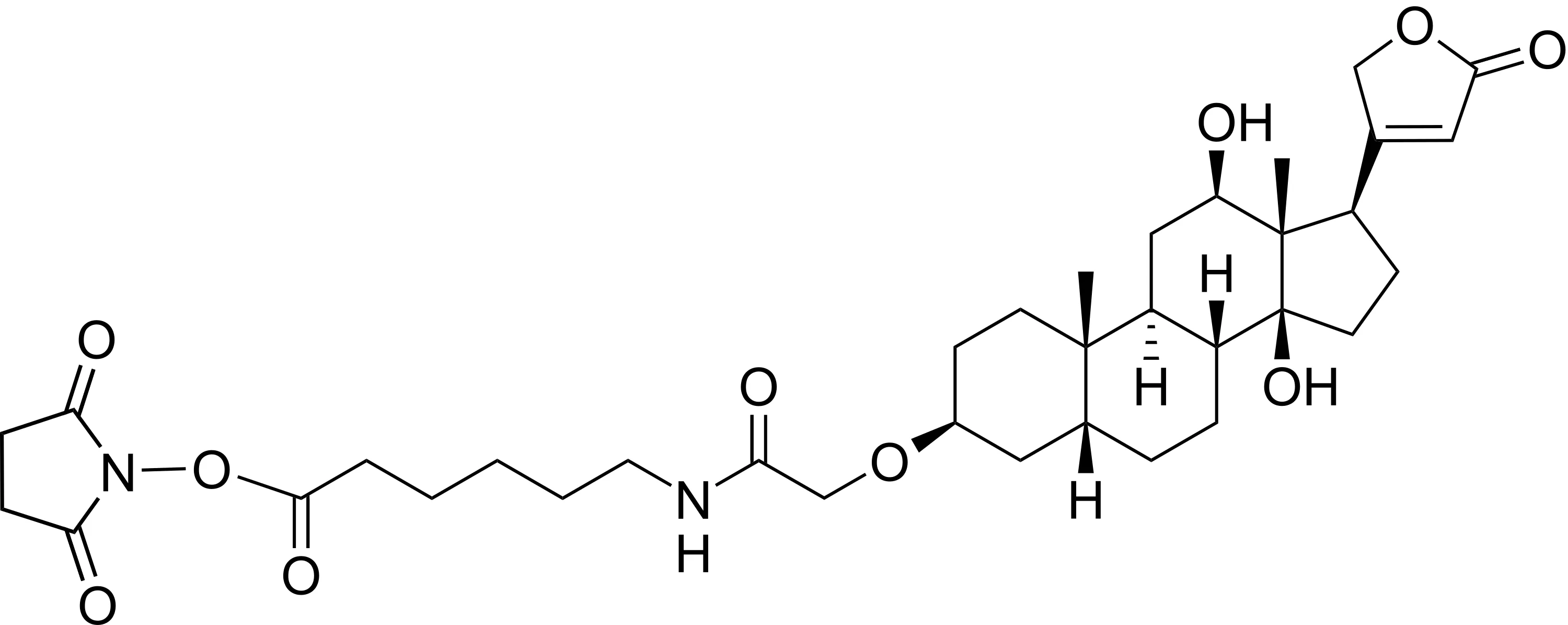 Digoxigenin NHS ester - image 1
