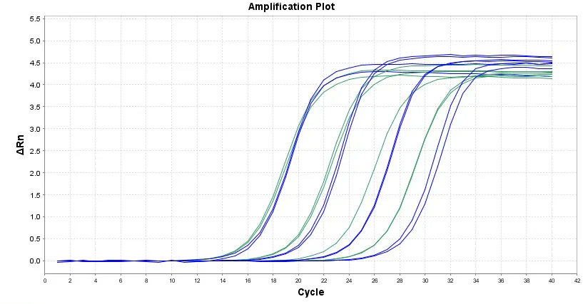 ReadiView™ Blue Real-Time PCR Visualization Dye *200X* - image 1