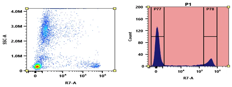 ReadiUse™ Preactivated APC-Cy7 Maleimide - image 1