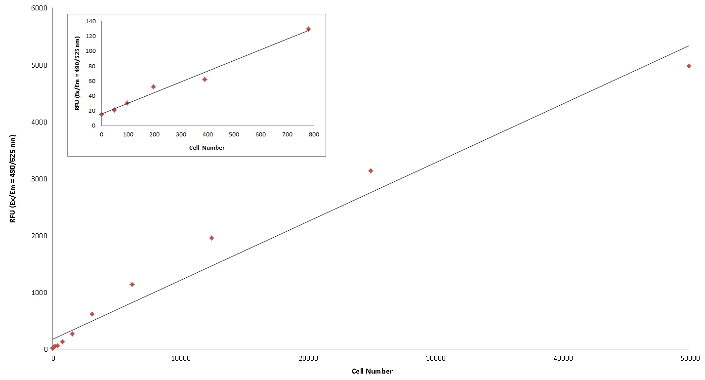 Cell Meter™ Cell Proliferation Assay Kit - image 1