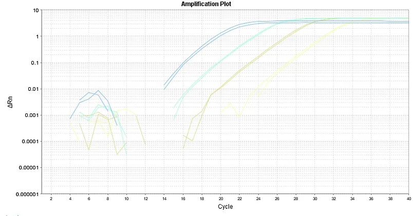 ReadiScript™ RT Reverse Transcription Kit - image 1