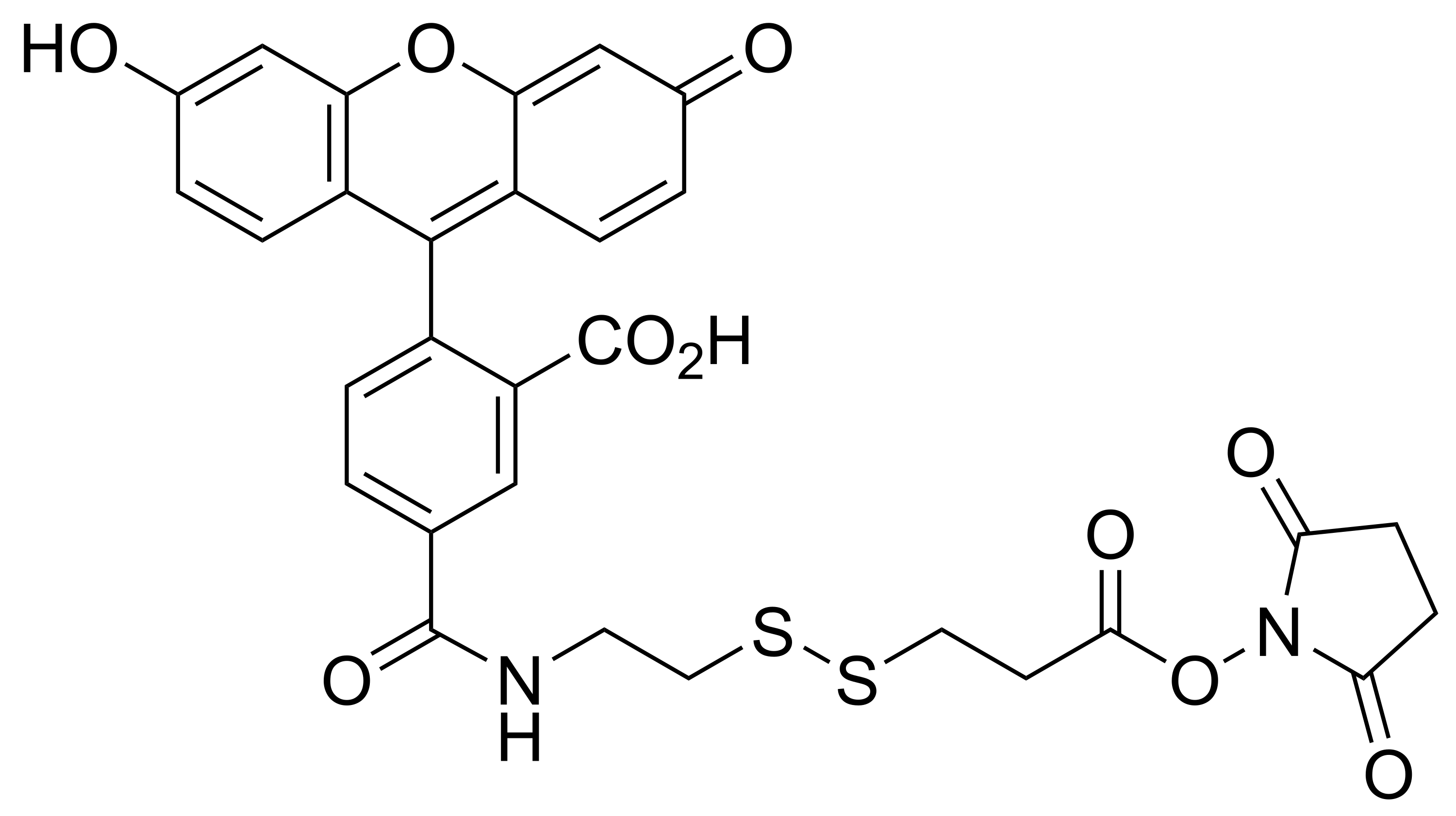 ReadiCleave™ FAM SSL-NHS ester - image 1
