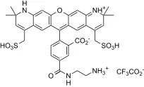 XFD568 amine - image 1