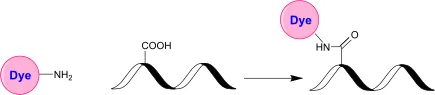 XFD750 amine - image 1