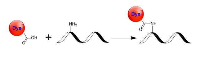 AATOM™ 594 acid - image 1