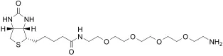 Biotin PEG4 amine - image 1