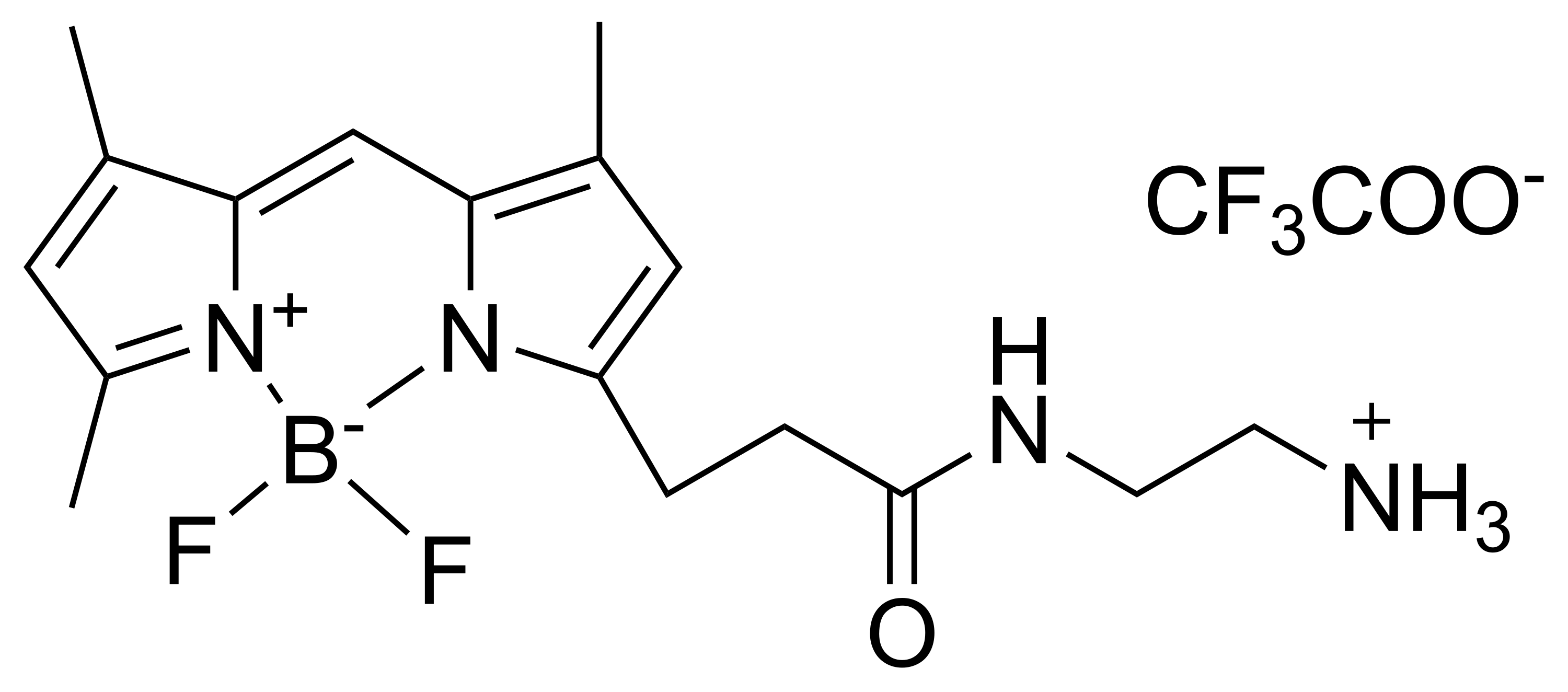 Bodi Fluor™ 488 amine - image 1