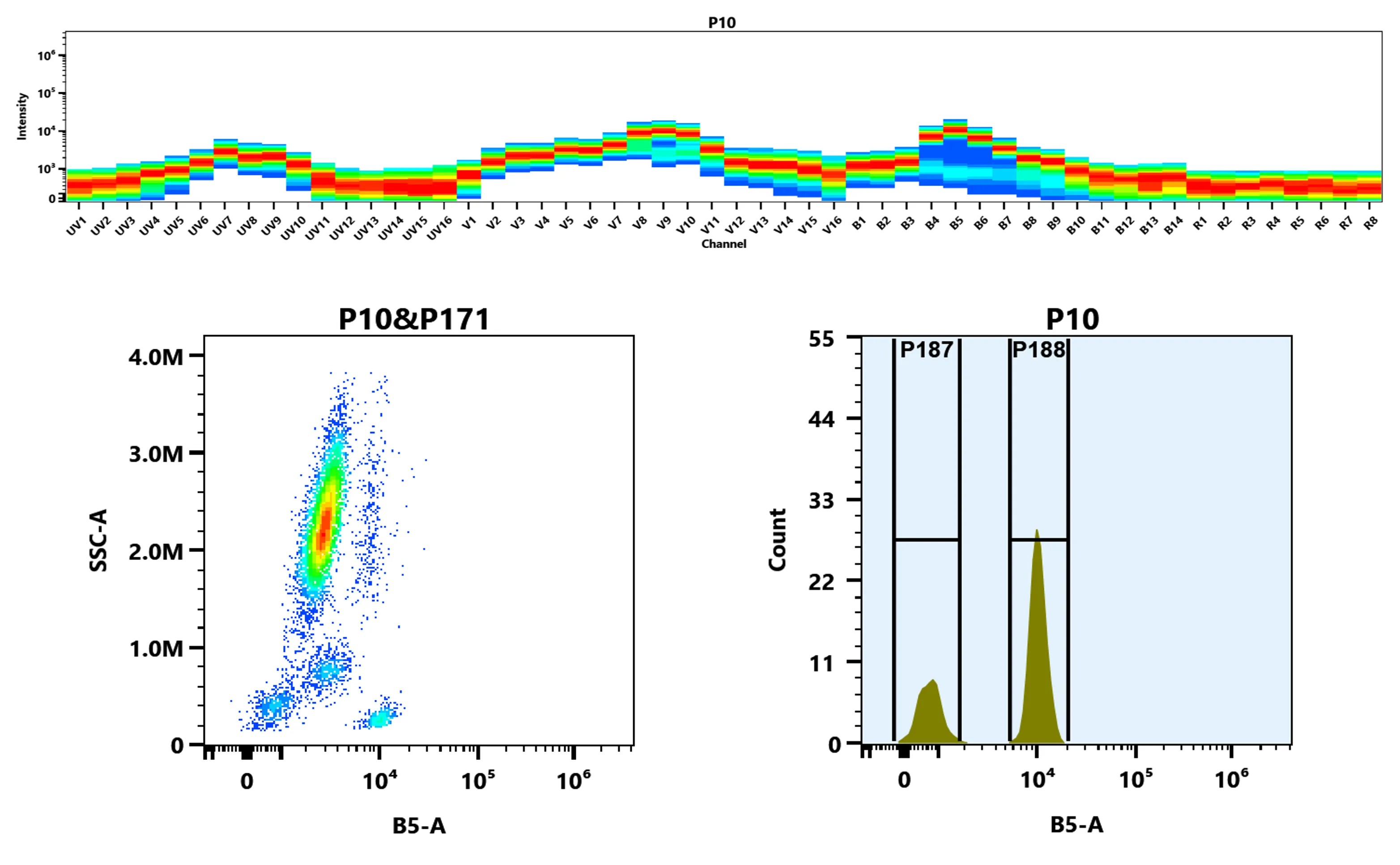 iFluor® 568 Anti-human CD4 Antibody *SK3* - image 1