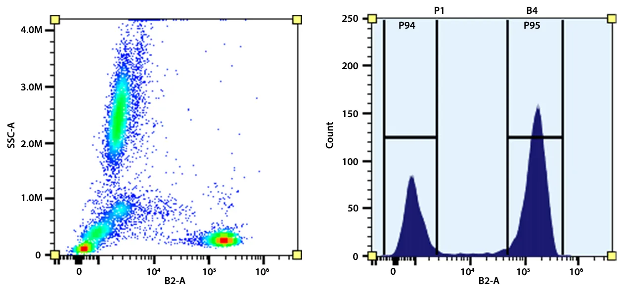 iFluor® 488 Anti-human CD3 Antibody *SK7* - image 1