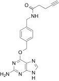 BG Alkyne - image 1