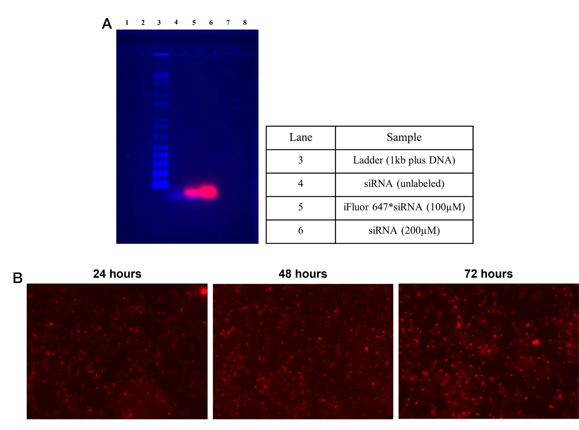 Helixyte™ iFluor® 647 Nucleic Acid Labeling Dye *Optimized for Labeling 2x100 ug DNA/RNA* - image 2