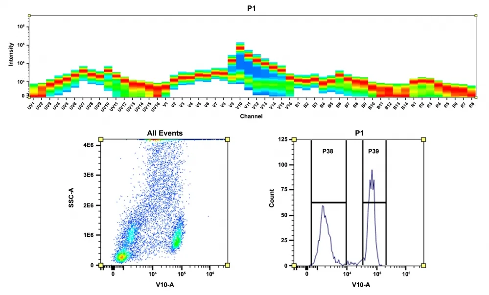 ReadiLink™ Rapid mFluor™ Violet 610 Antibody Labeling Kit *Microscale Optimized for Labeling 50 µg Antibody Per Reaction* - image 1