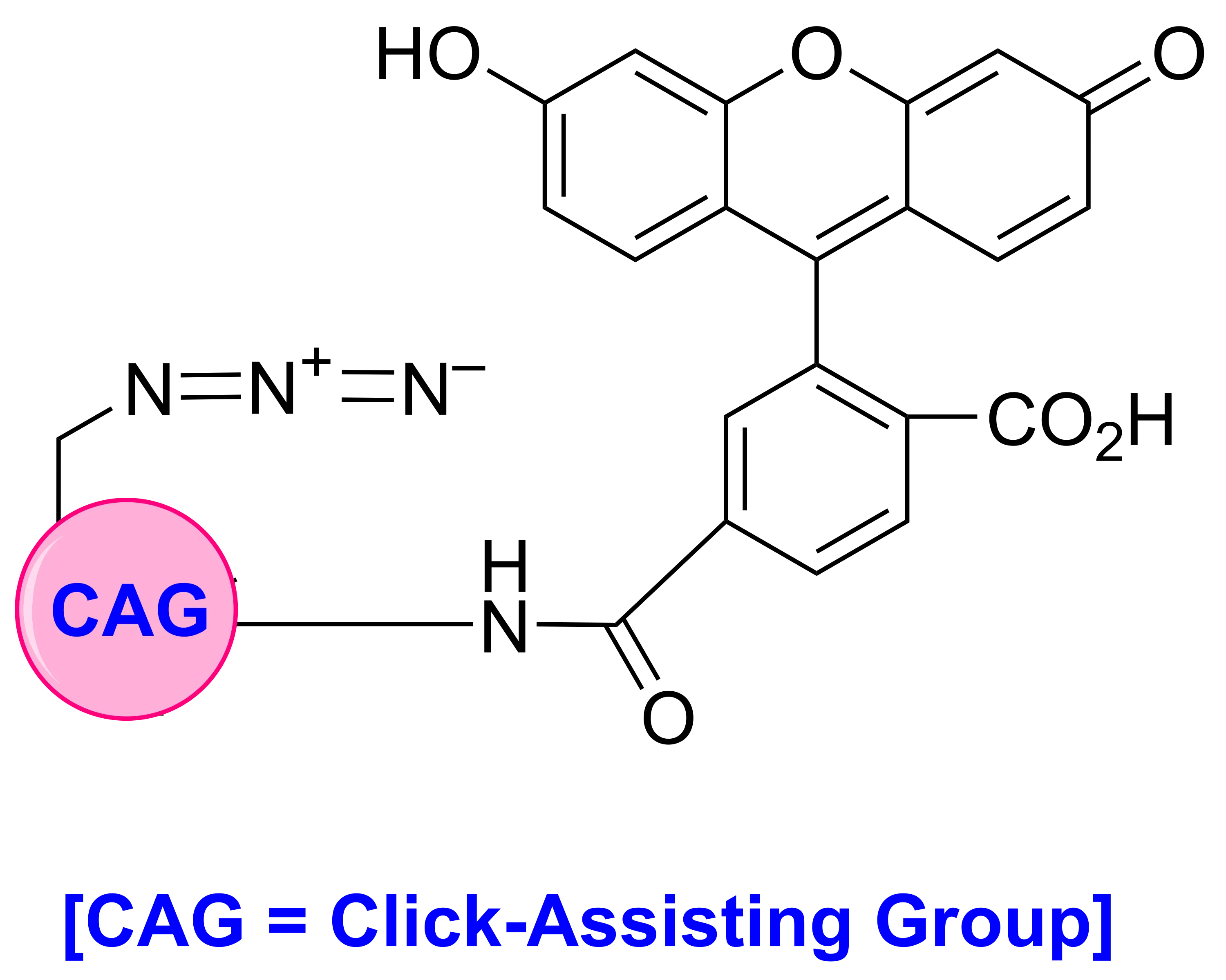 FastClick™ 6-FAM Azide - image 2