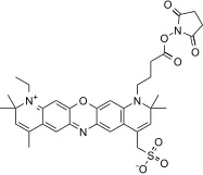 AATOM™ 700 NHS ester - image 1