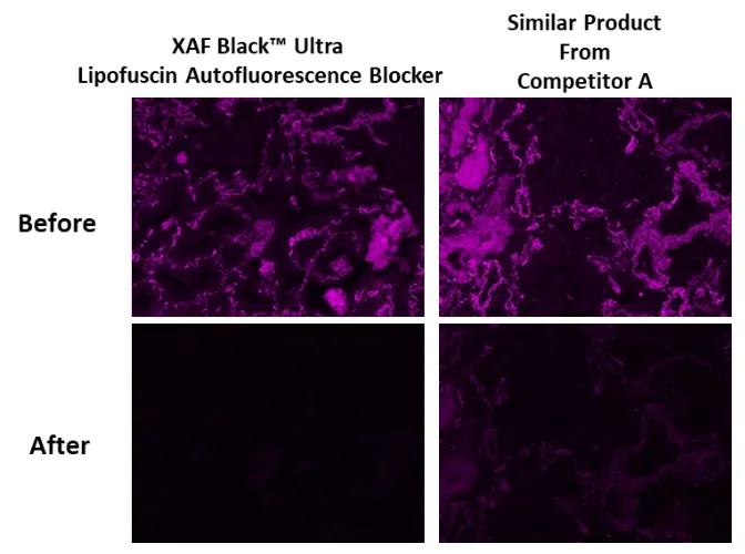 XAF Black™ Ultra Lipofuscin Autofluorescence Blocker - image 1