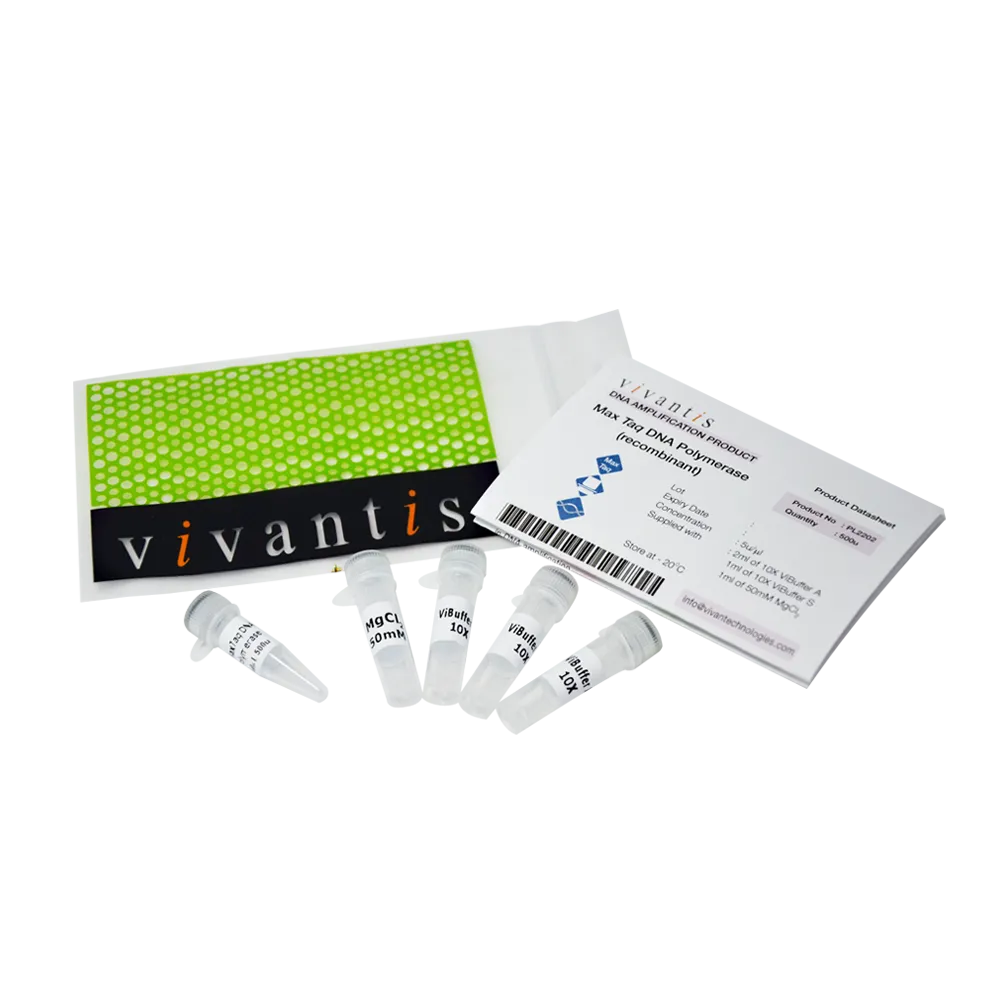 MaxTaq DNA Polymerase (5U/µL), 500 U - image 1
