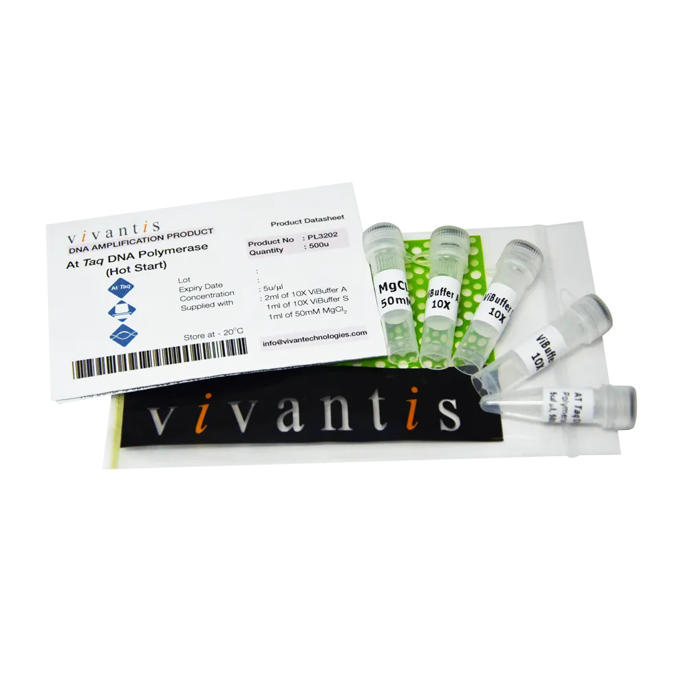 AtTaq DNA Polymerase (5U/µL), 500 U - image 1