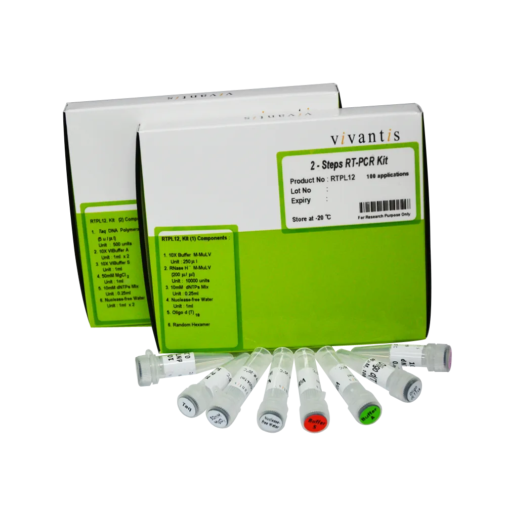 Viva 2-Steps RT-PCR Kit with M-MULV RT / Taq DNA Polymerase, 100 app - image 1