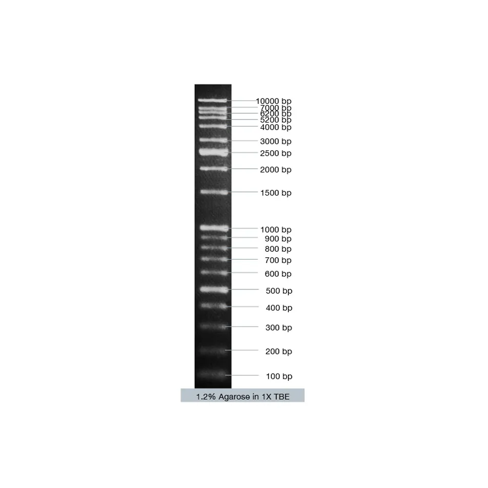 VC DNA Ladder Mix (ready-to-use), 5x 50 µg - image 1