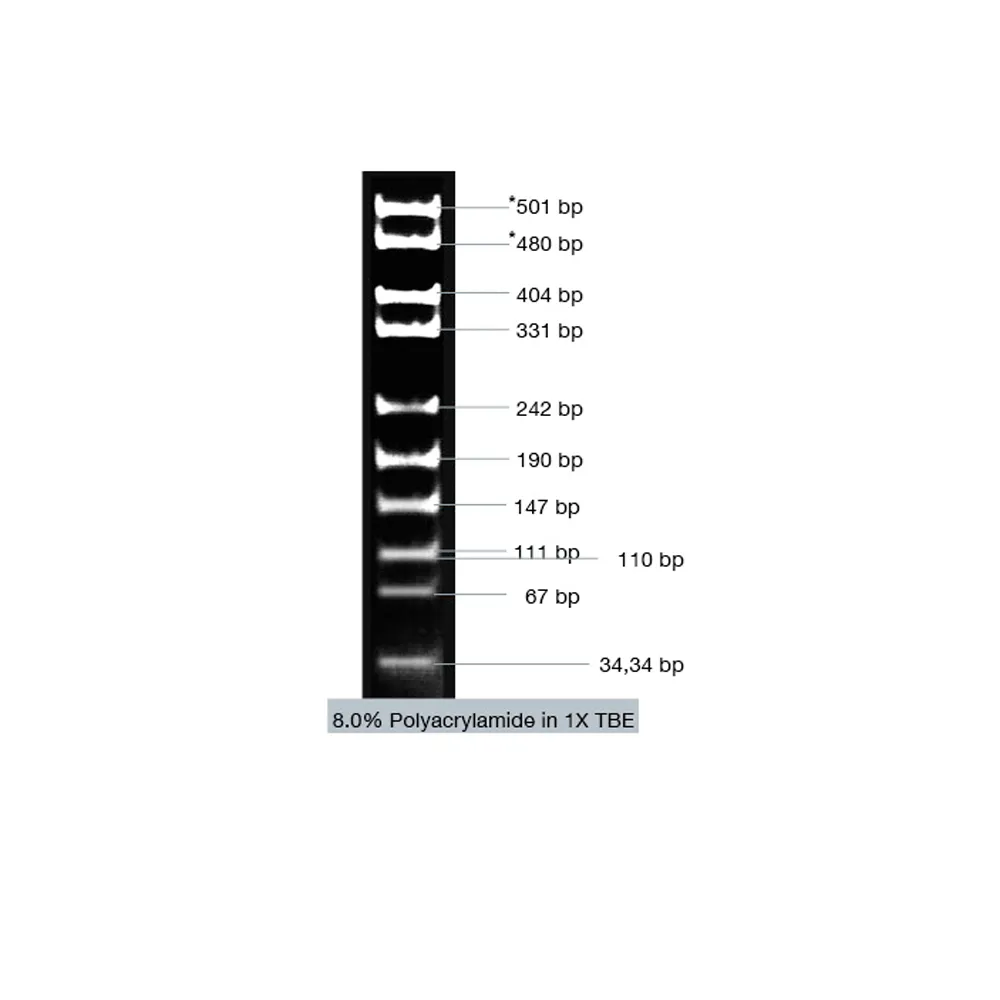 VC pUC19 / Msp I Marker, 50 µg - image 1